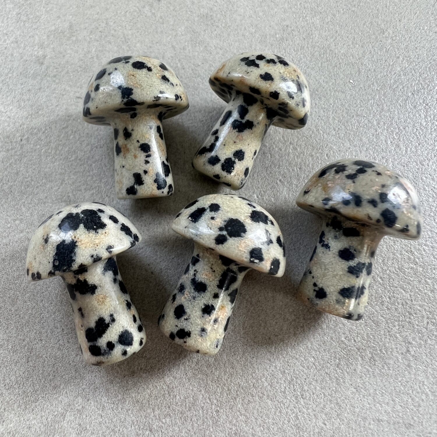 Mini Mushroom - Dalmation Stone - 5 pack - Chakra Wholesale